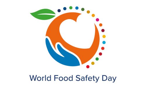 Elevate Your Food Safety Game on World Food Safety Day!
