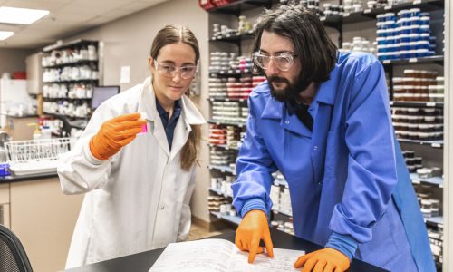 Elevating Food Safety Standards: The Impact of SQF Certification