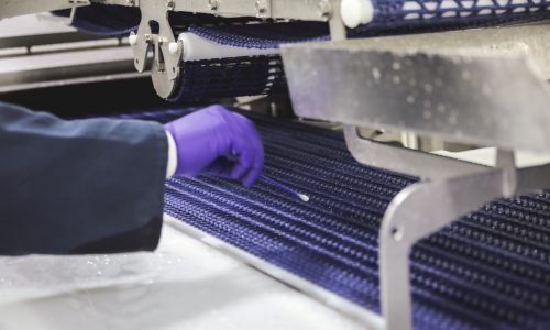 Which Pathogen Would you Rather Eat?