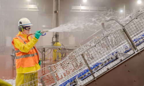 Beyond Clean: A Look at Food Safety Chemistry